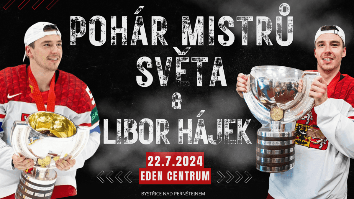 Pohár mistrů světa