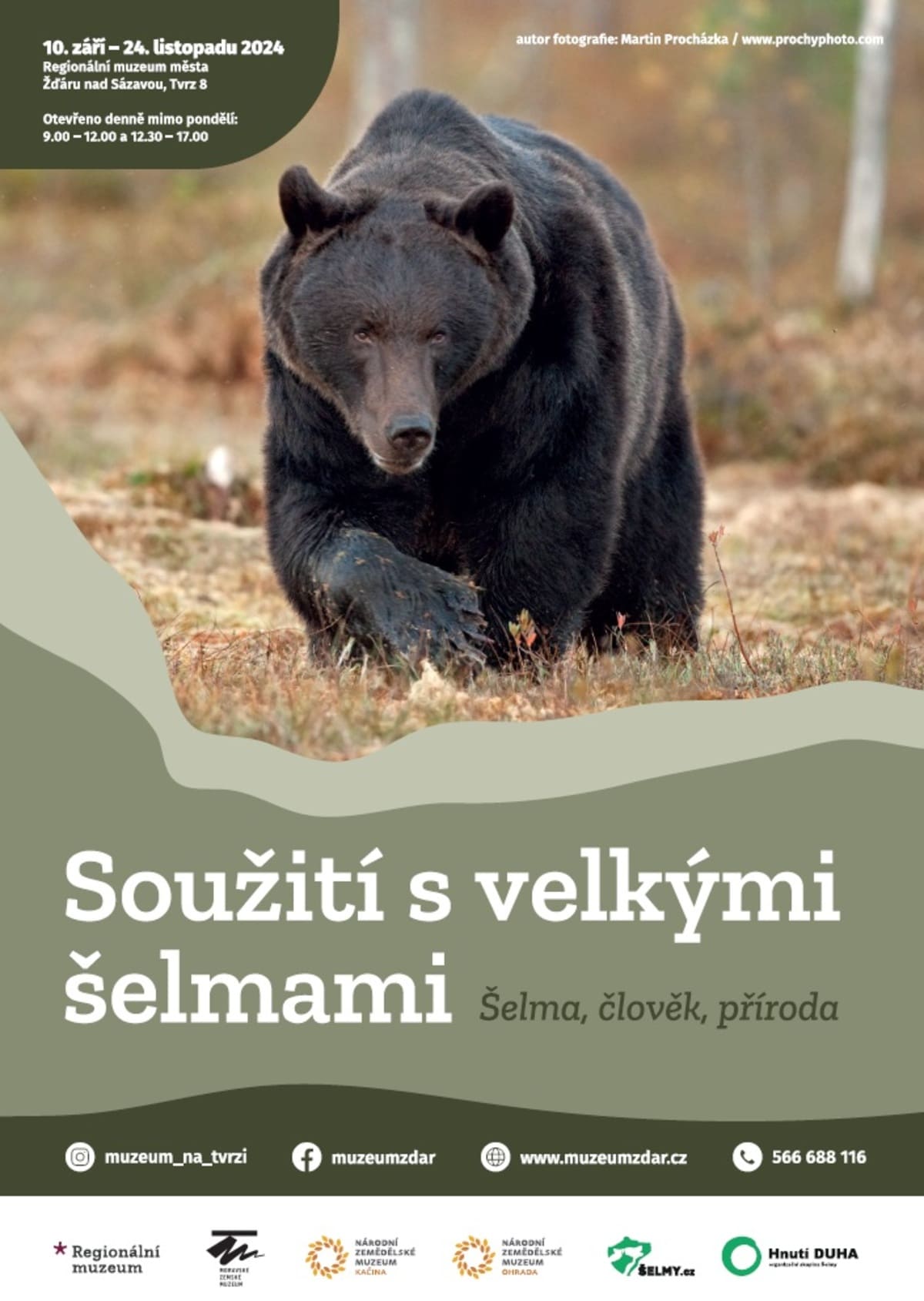 Soužití s velkými šelmami