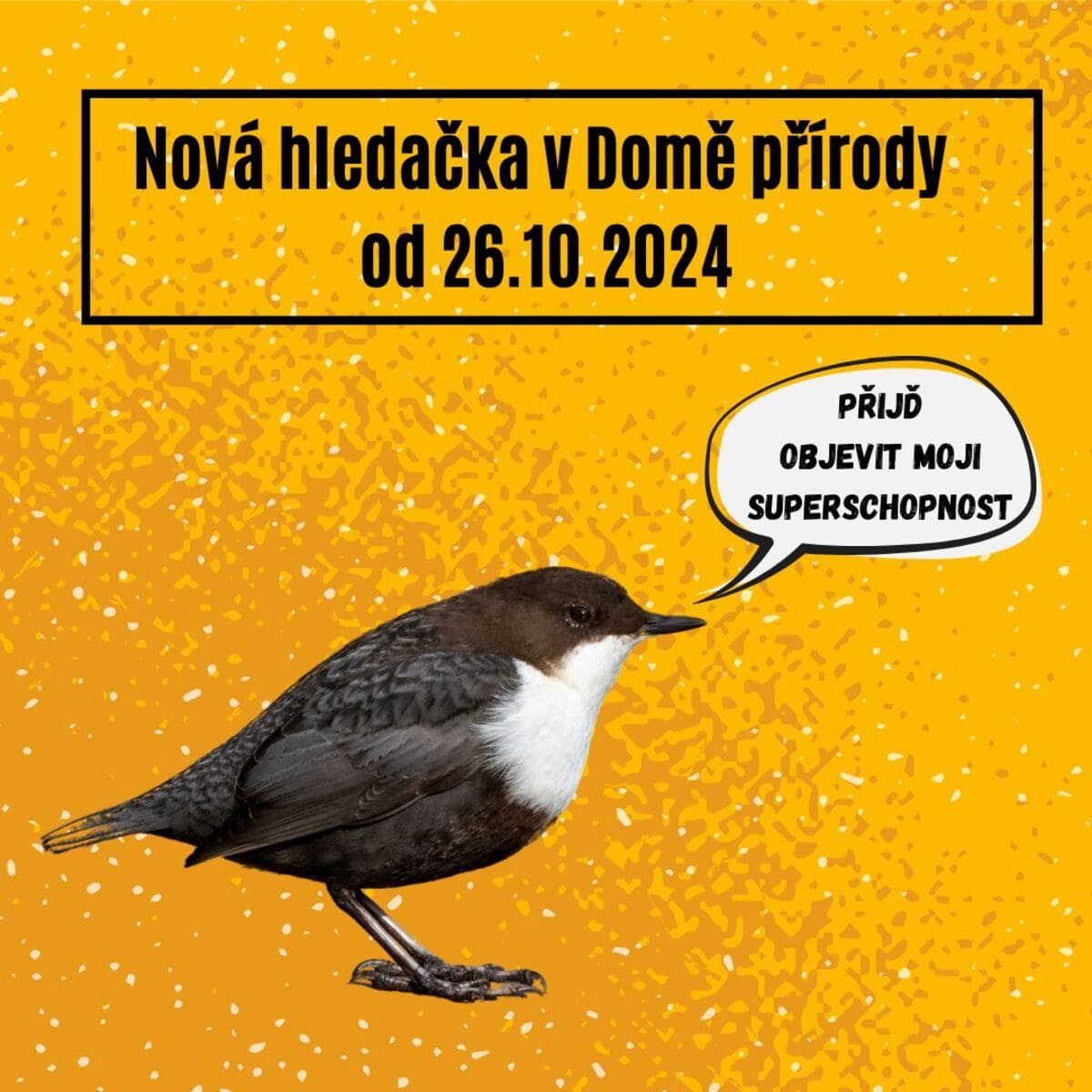 Nová hledačka v Domě přírody