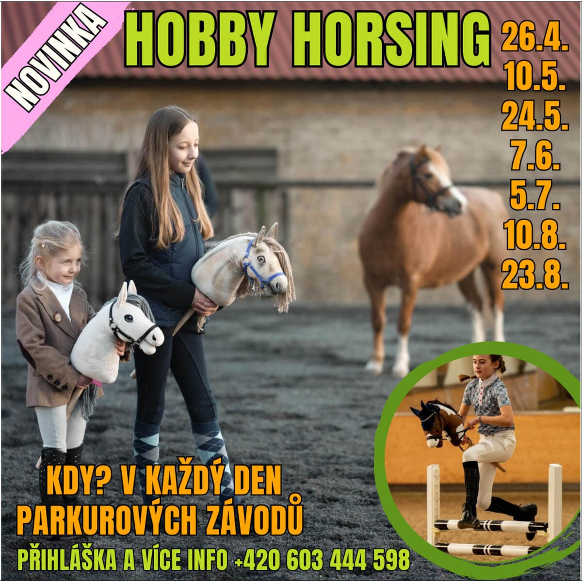 Hobby Horsing