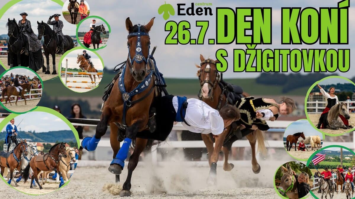 Den koní s Džigitovkou