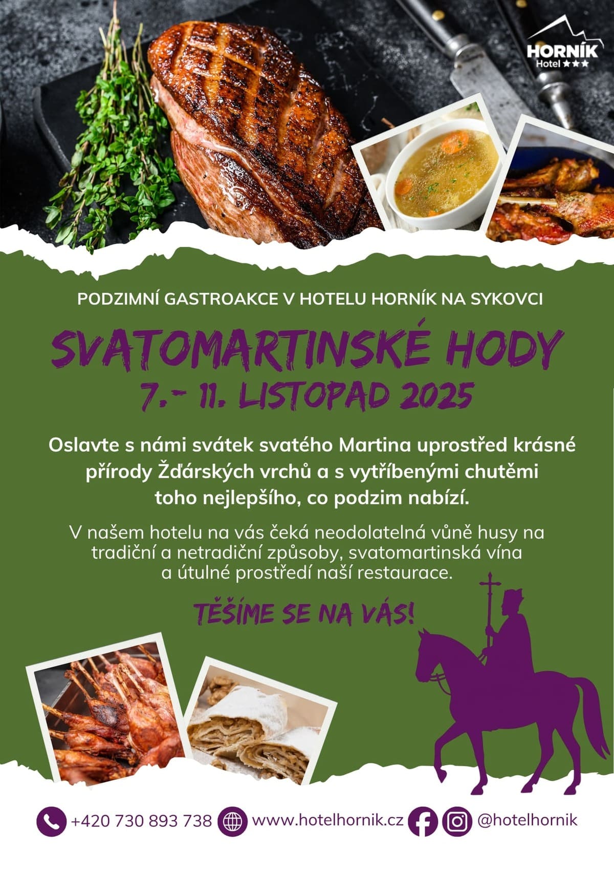 Svatomartinské hody