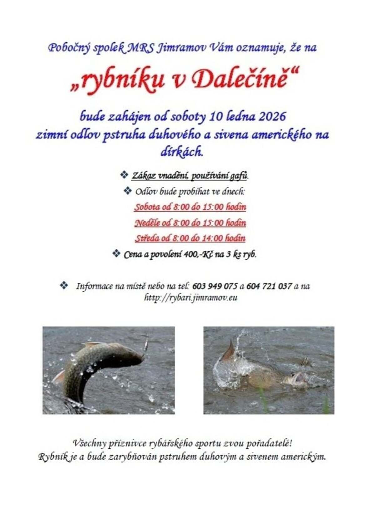 Rybníku v Dalečíně