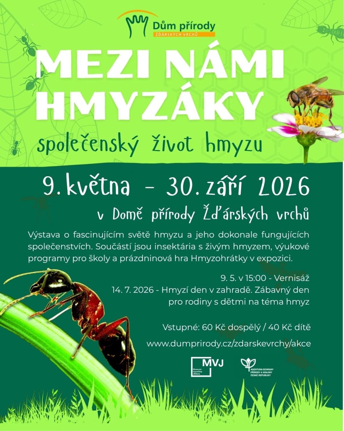 Mezi námi hmyzíky
