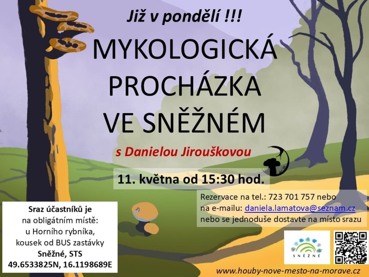 Mykologická procházka ve Sněžném