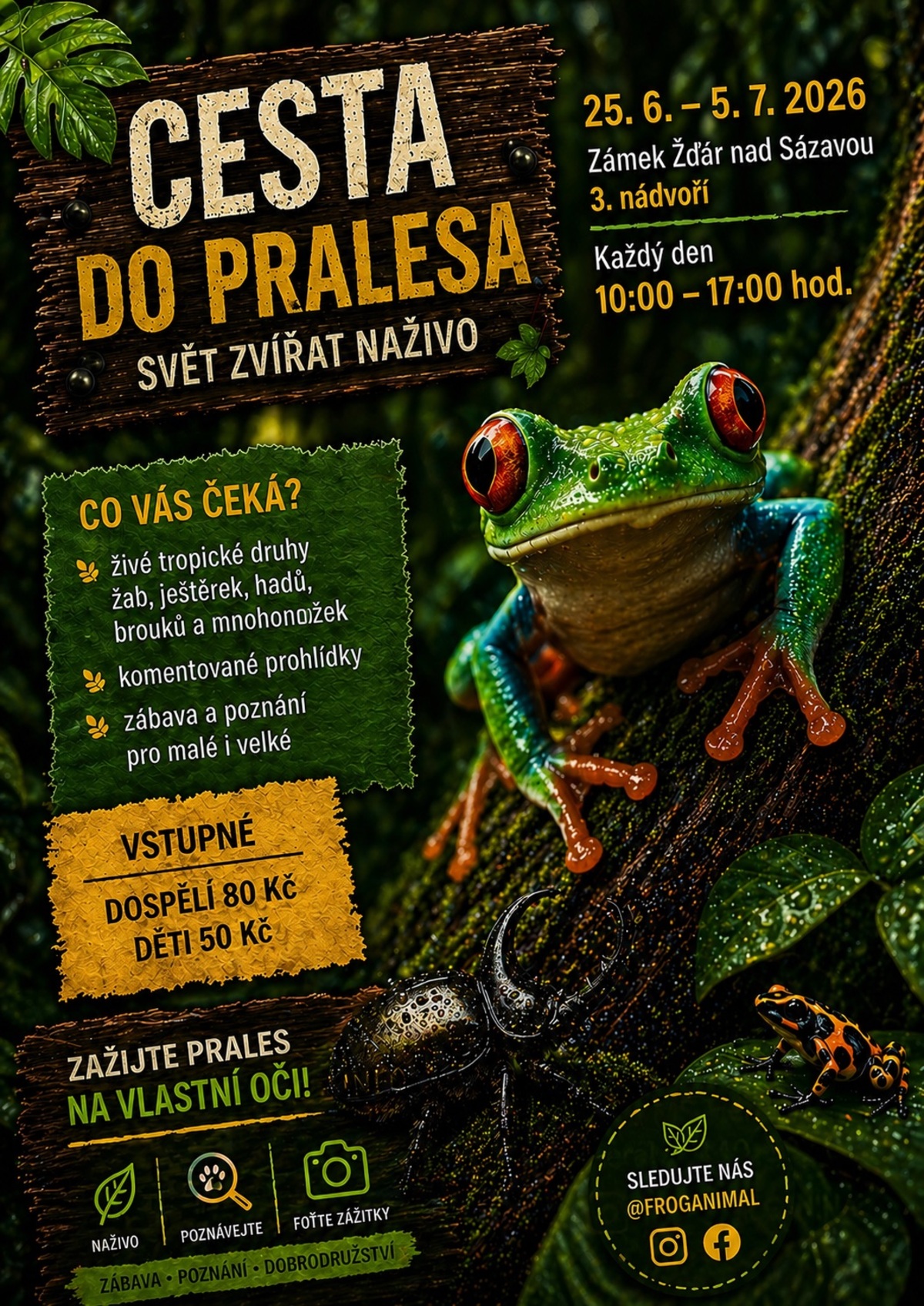 Cesta do pralesa