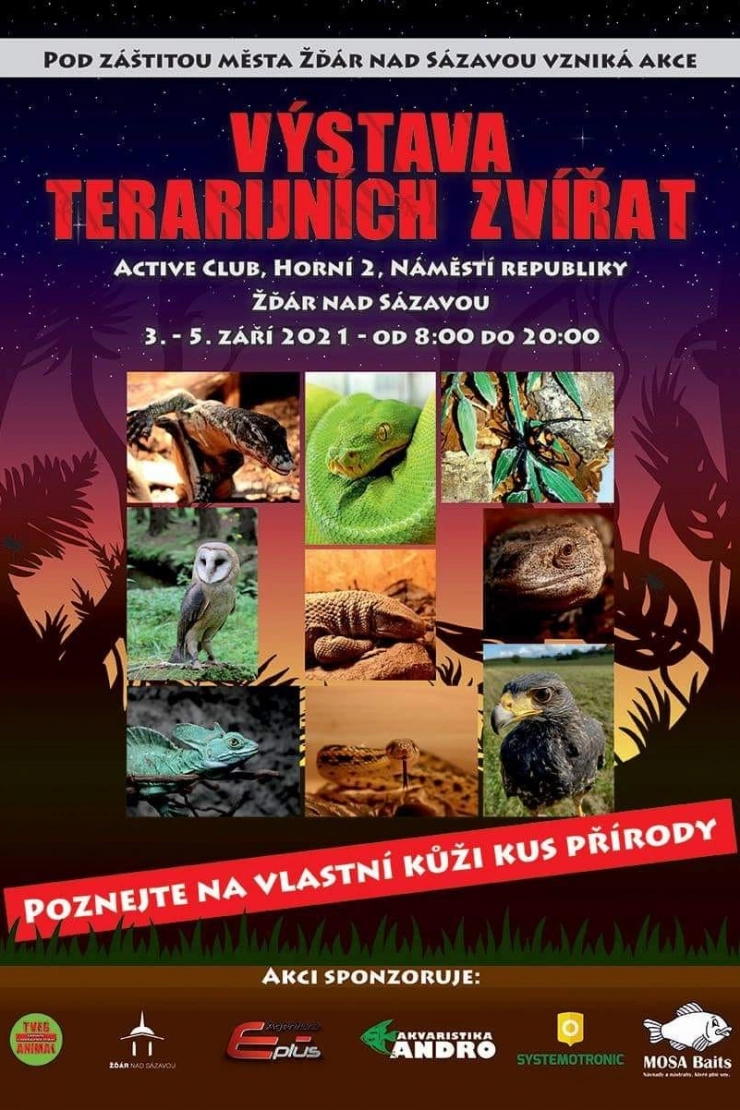 Výstava terarijních zvířat 2021