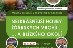 Nejkrásnější houby Žďárských vrchů... a blízkého okolí  