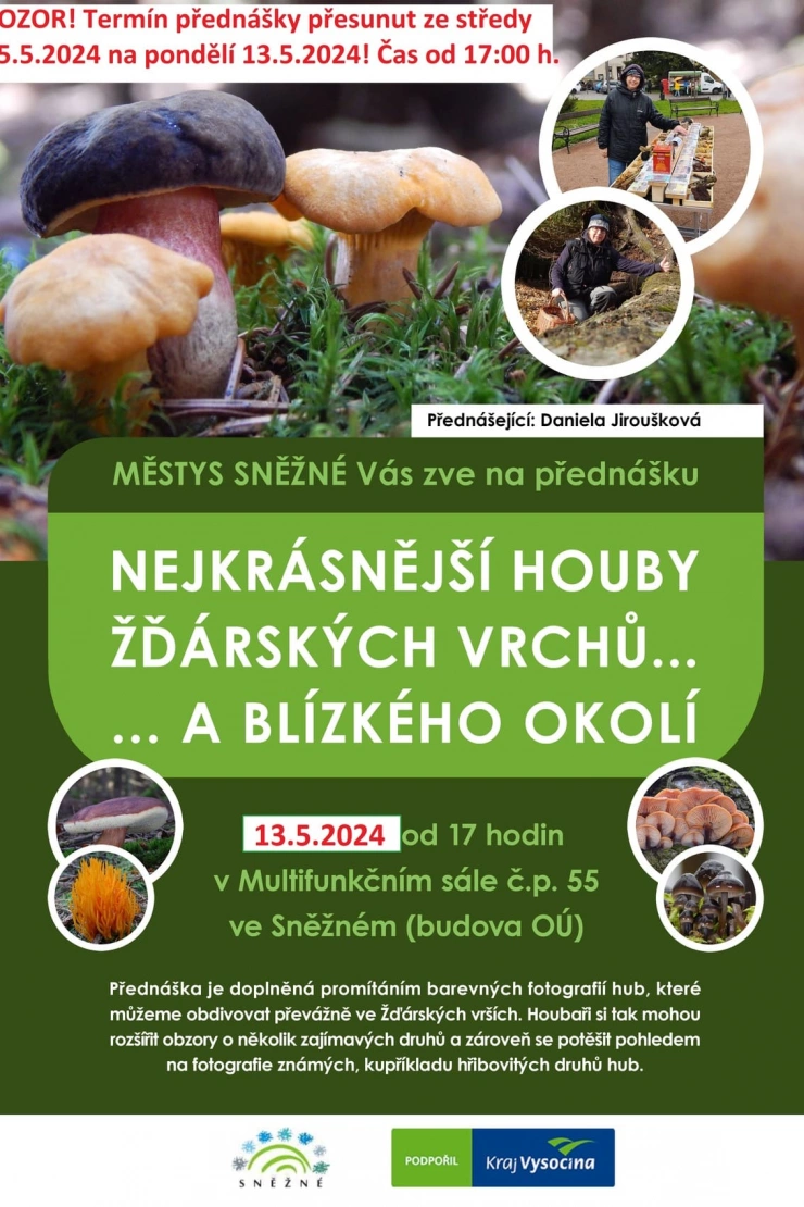 Nejkrásnější houby Žďárských vrchů... a blízkého okolí