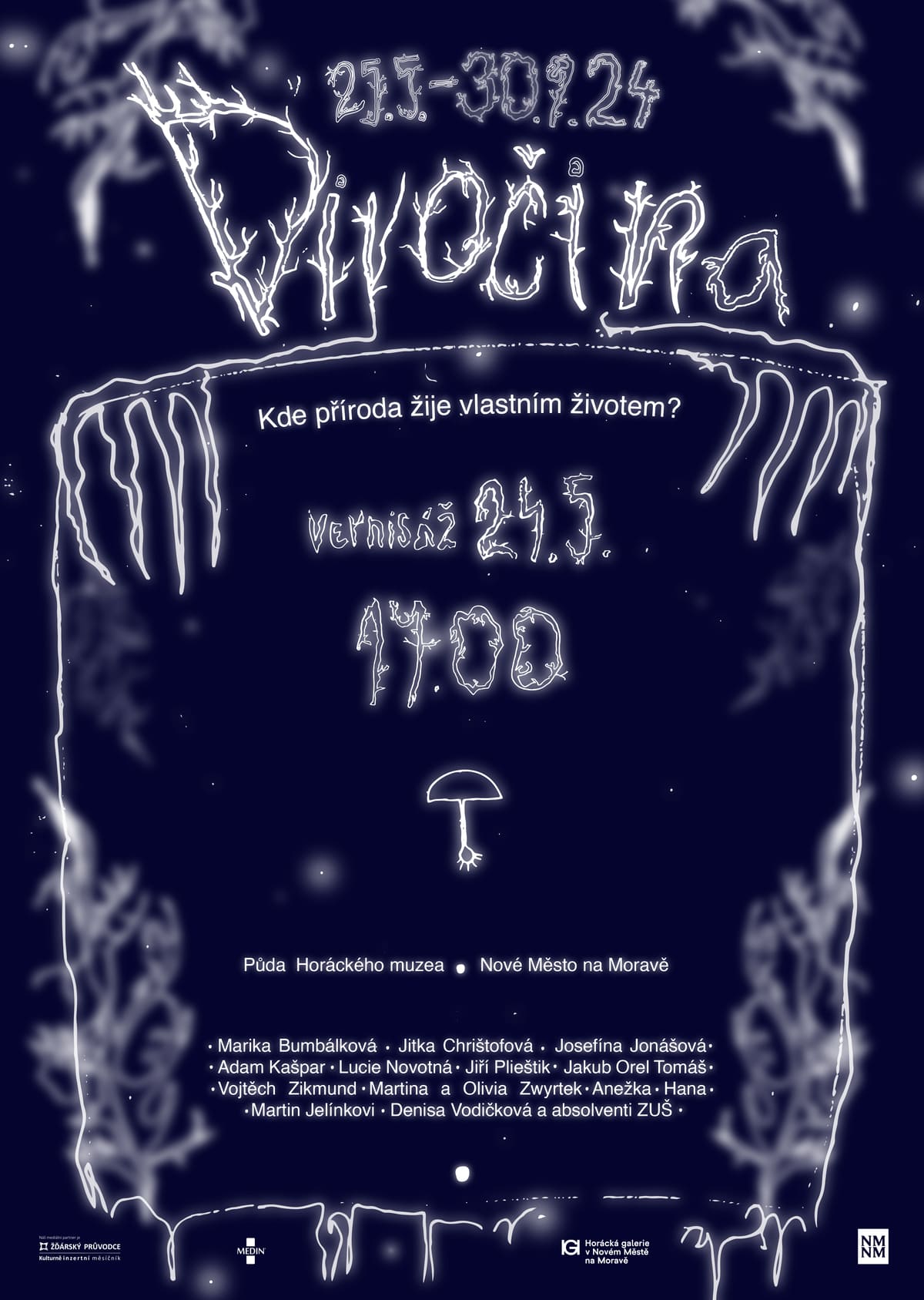 Divocina