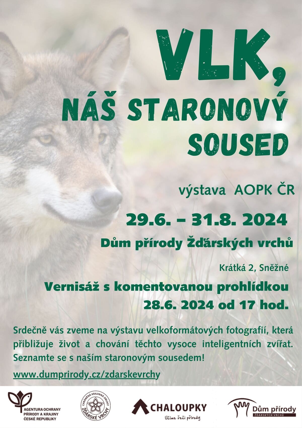 VLK, NÁŠ STARONOVÝ SOUSED