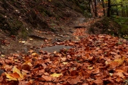 Podzimní údolí řeky Doubravy