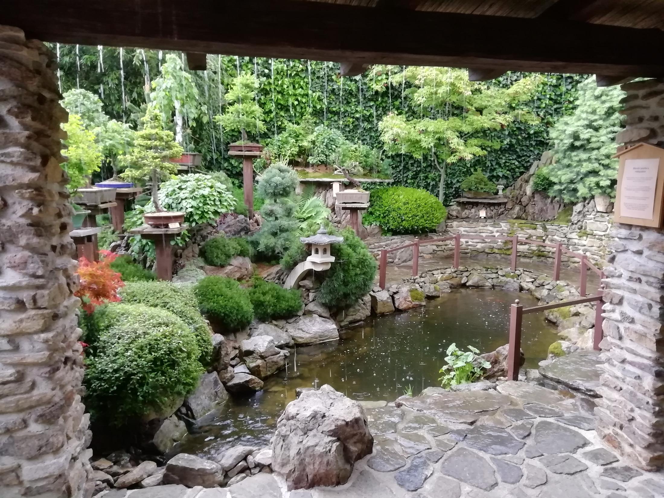 Bonsaj zahrada Kněževes - 2200 x 1650