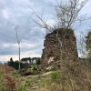 Zřícenina hradu Aueršperk