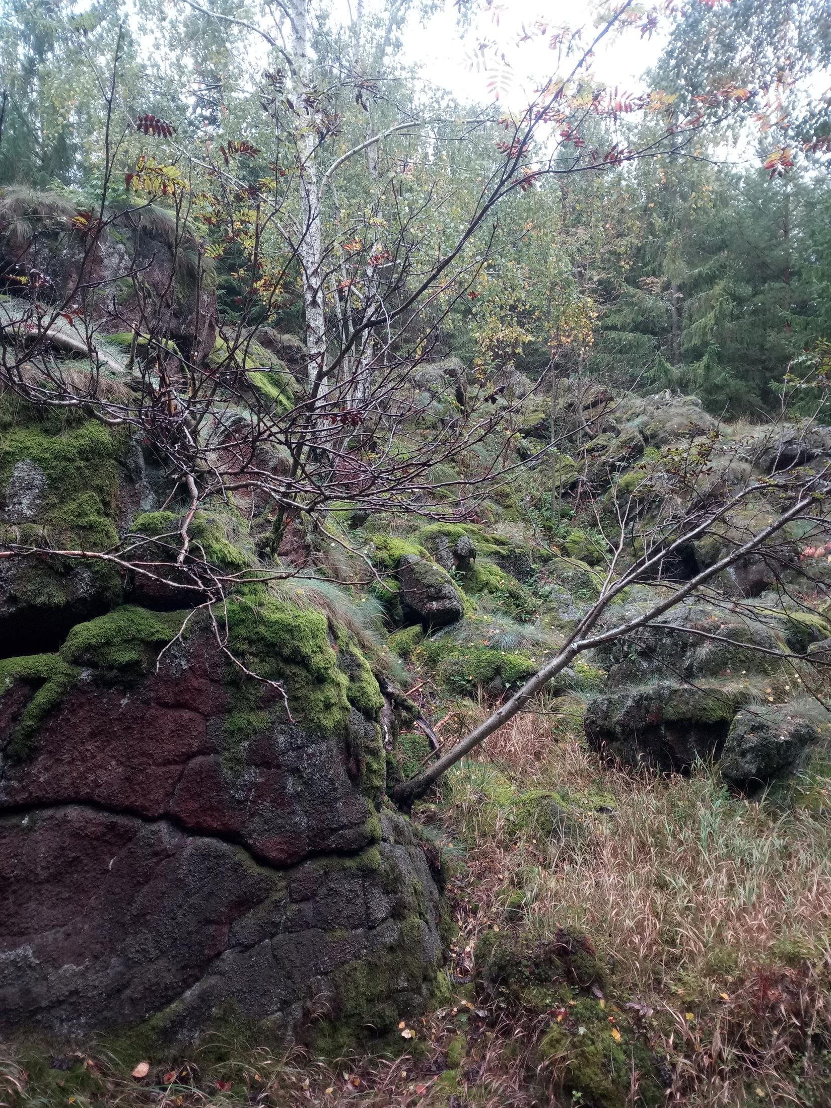 Ranský Babylón - 1650 x 2200