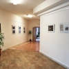 Galerie u Sychry